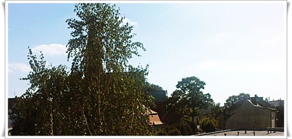Sulechów