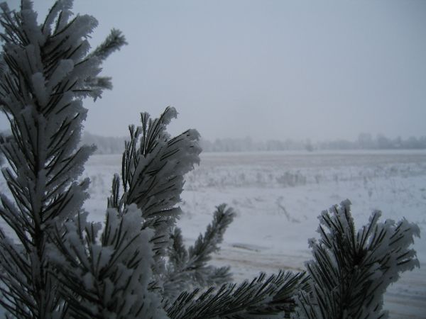 zdjecie Grądy Szlacheckie