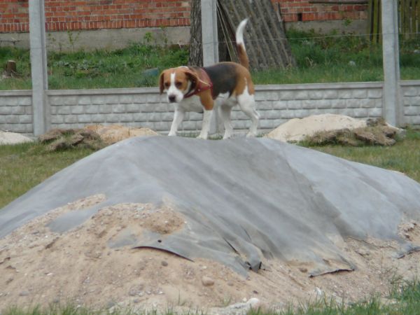 Tu się czuję najlepiej.