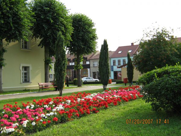 Kargowa - miasto kwiatów. Rynek.