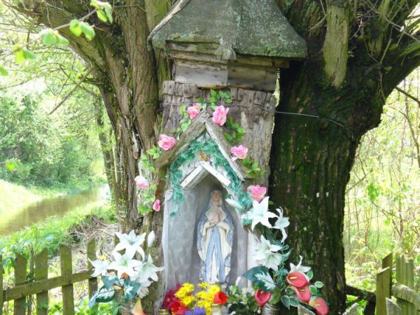 Zdjęcia Wólka Nosowska