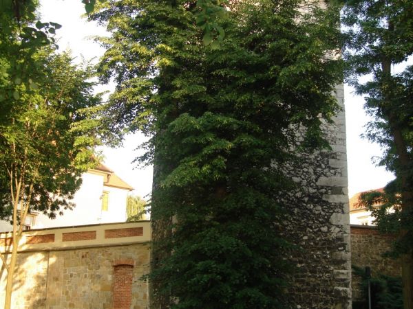 Fragment murow obronnych - baszta z XIV w.