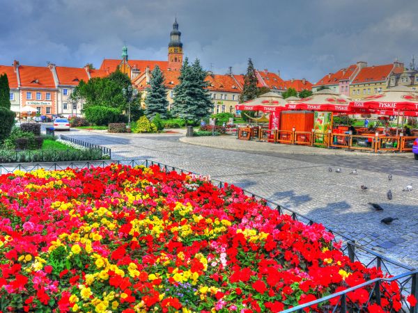 zdjecie Wodzisław Śląski