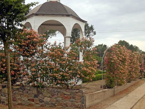 FRANK-RAJ _Ozdobne Ogrody Polskie