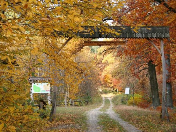 Ścieżka przyrodnicza białkówka