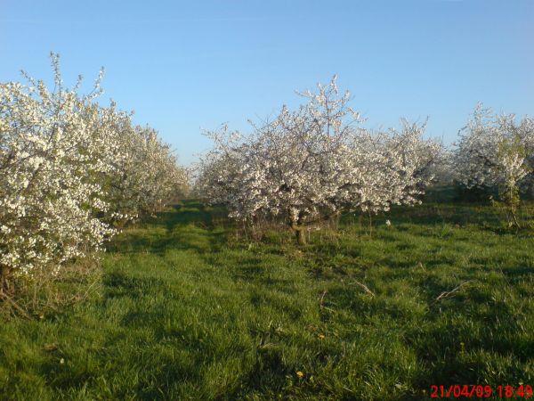 zdjecie Żarska Wieś