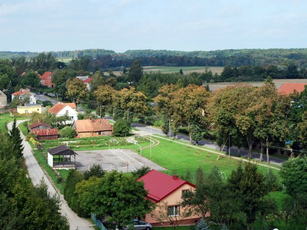 Widok z wieży kościoła