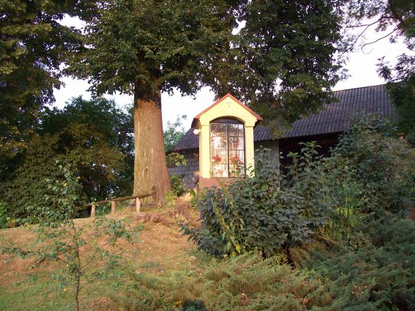 zdjecie Wola Rokietnicka