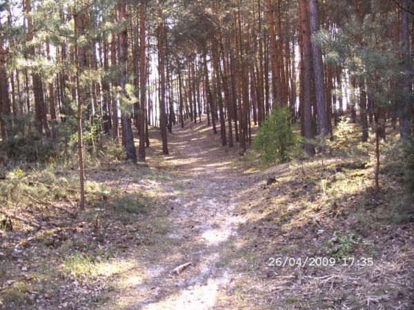 Zapomniane miejsce spacerow