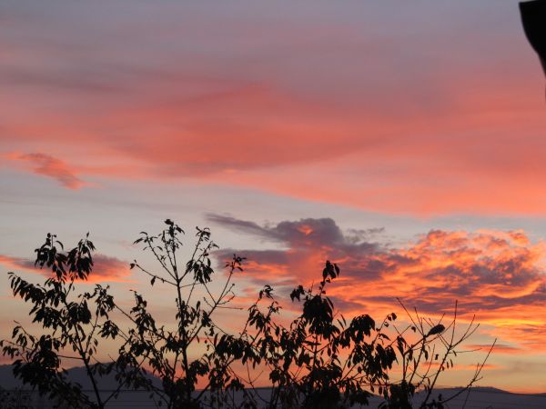 zdjecie Pietrzykowice