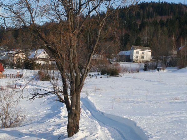 Fot. Ewa Kamila Jabłońska