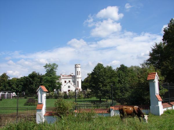 Zespol palacowy pod bankowym kluczem