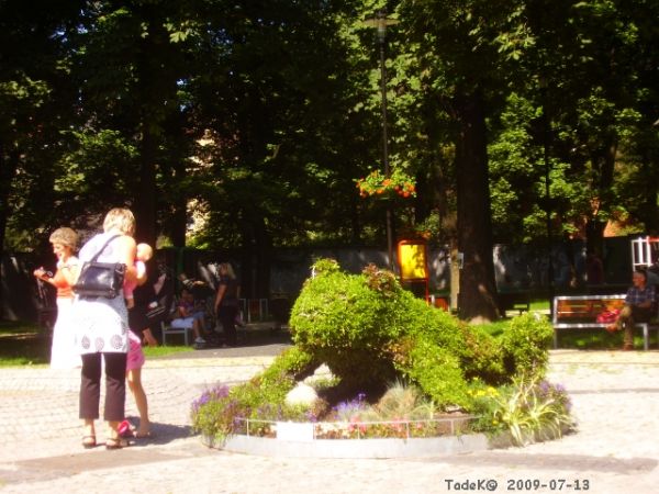 Instytucja tutejszej miejskiej Zieleni słynna z "figur" tworzonych z kwiatów - zawsze je wspominam i dokumentowałem zdjęciami.