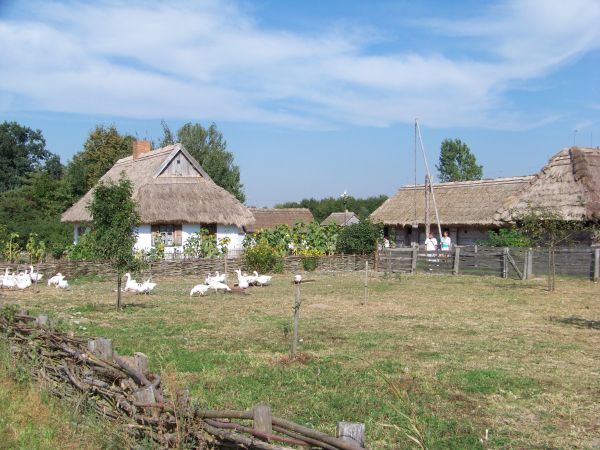 Panorama zabytkowej wsi.