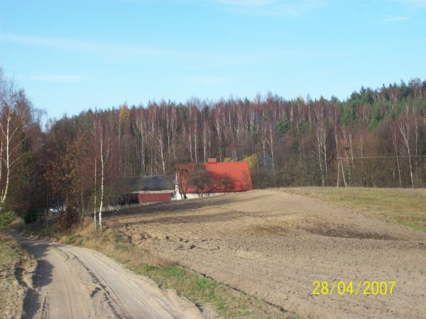 zdjecie Kamienica Królewska