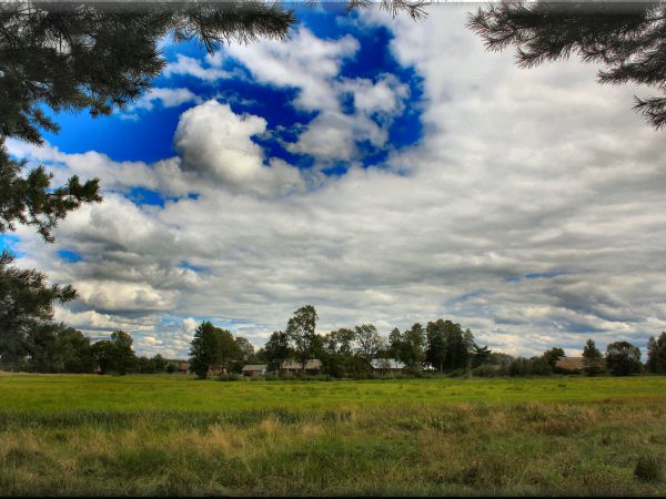 zdjecie Tyniewicze Duże