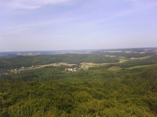 Widok z wieży