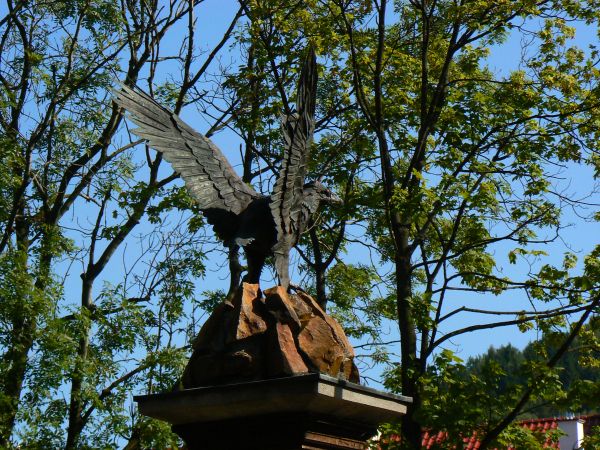 Orzeł na rynku w Ustrzykach Dln.