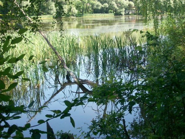 Zdjęcia Podlesie Małe