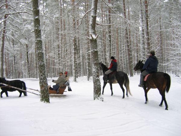 Lipow Kurkowskie
kulig lesniczówka jednorożec