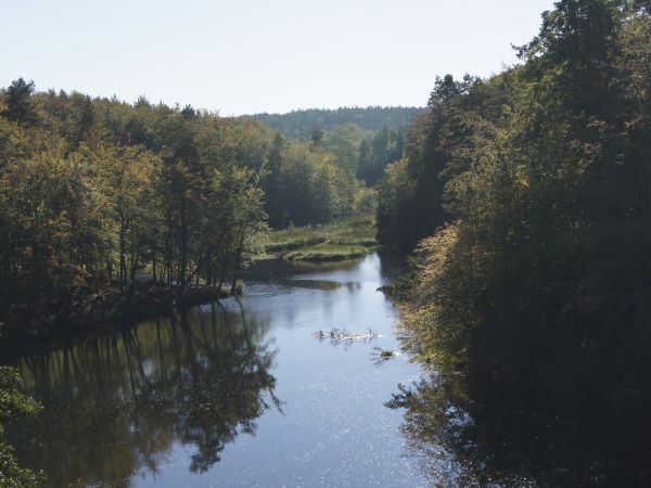Widok z mostu kolejowego na Radunie