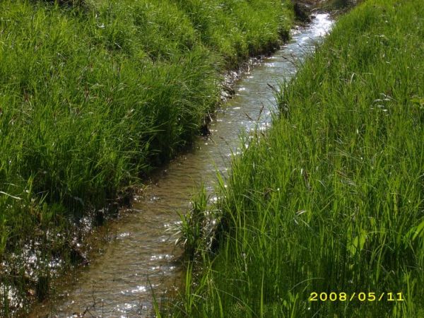 "Zawsze miej przed oczami coś pięknego..."