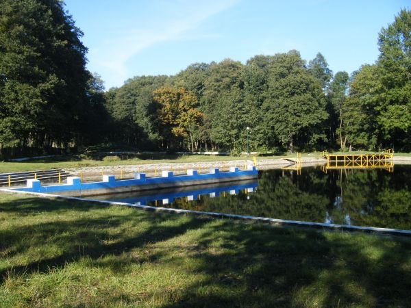 zdjecie Stare Kurowo