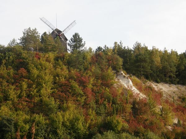 Wiatrak w Mięćmierzu - widok ze statku Żeglugi Wiślanej