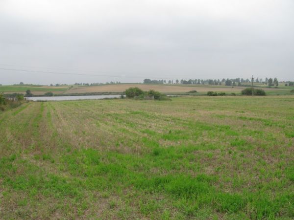 Schron nr 8 Armii "Poznań" z 1939r. Tradytor dwustronny . Bez wylanego stropu. Widok ogólny od strony polnej drogi. SKARBIENICE k. ŻNINA.