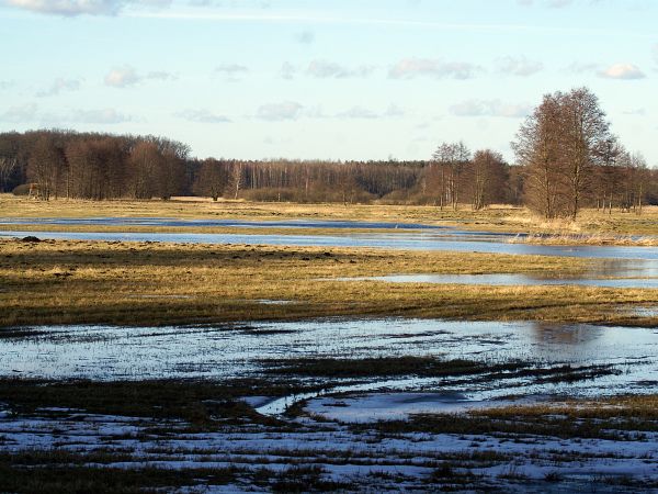 Zalane łaki na kocuni