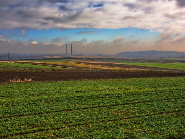 zdjecie Siemianowice Śląskie