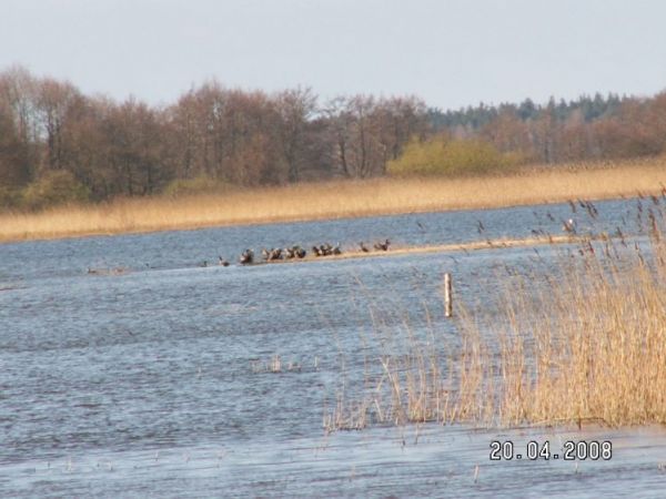zdjecie Gardna Wielka