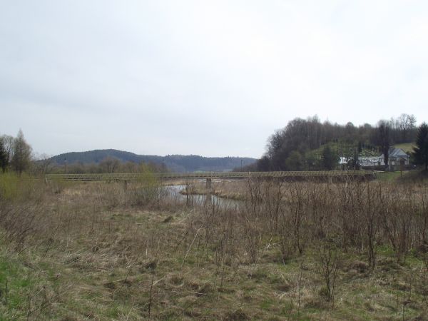 linia brzegowa rzeki San a raczej jej koryta, zasilone wodami rzeki Olszanka -  tam siedlisko - ostoja dużych, rzadkich ptaków wodnych, m.in. czapli siwej, gągo