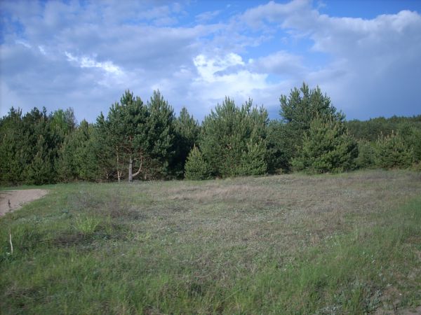 zdjecie Piłatowszczyzna