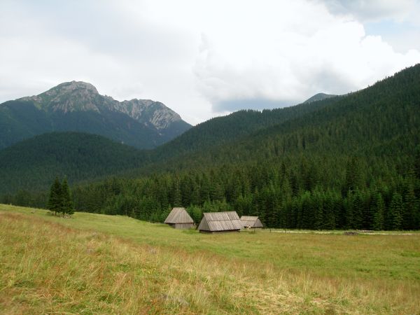 Dolina Chochołowska, Kościelisko