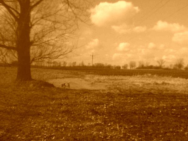 Krajobrazy, krajobrazy, krajobrazy