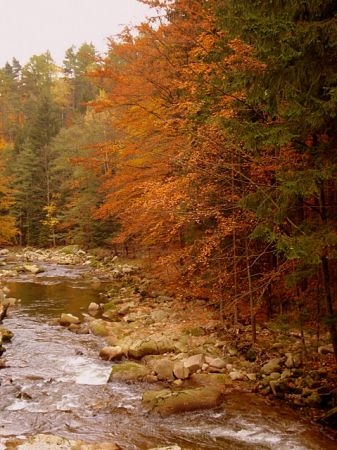 Potok górski przy trasie do Szklarskiej Poręby