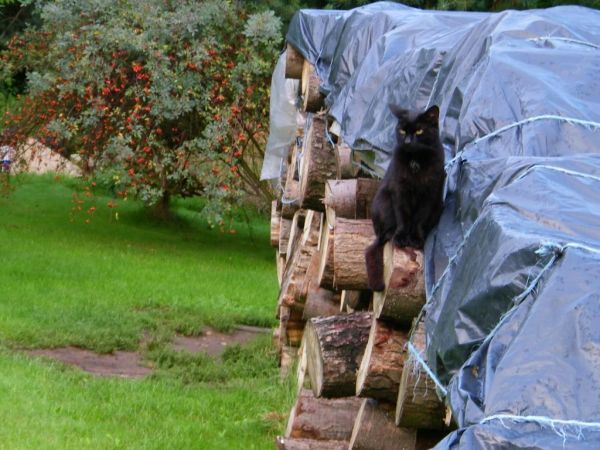 taka tam fotka historycznie historyczna