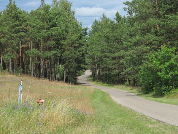 Droga do Czarnego w gminie Kaliska