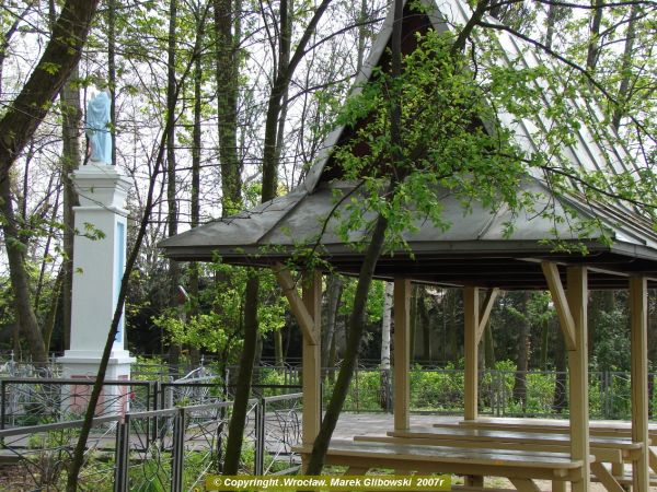 zdjecie Licheń Stary