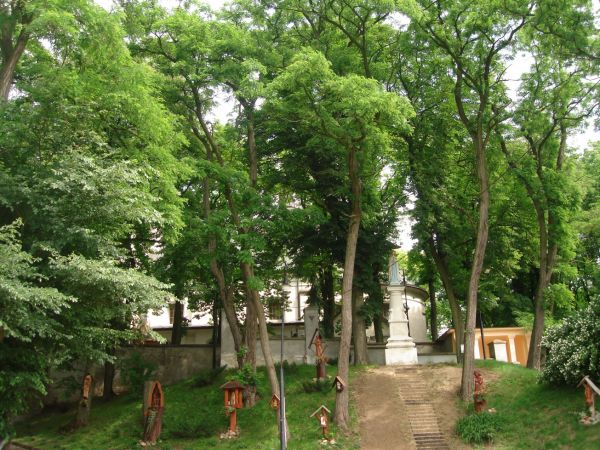 Koscielne Wzgorze . Kosciol z XVIII w. pod wezwaniem sw. Jana Chrzciciela