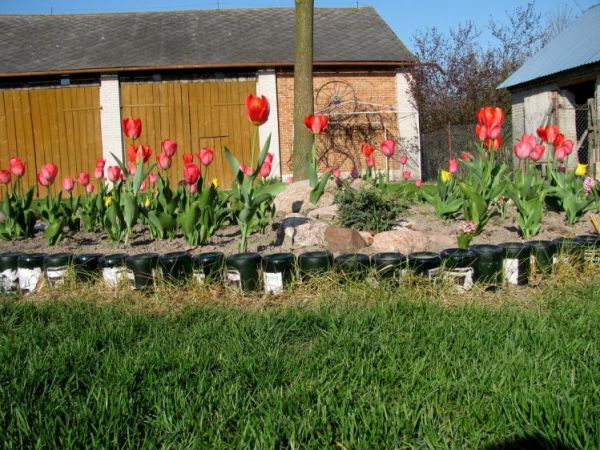 zdjecie Polubicze Wiejskie Pierwsze