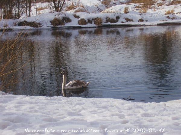 Przedwiośnie za miastem ...
