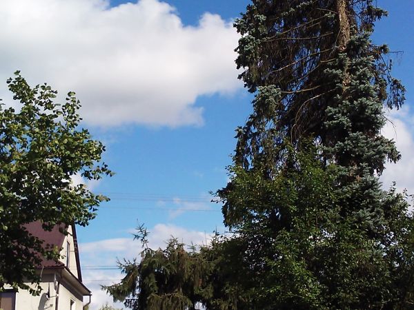 W letni słoneczny dzień.