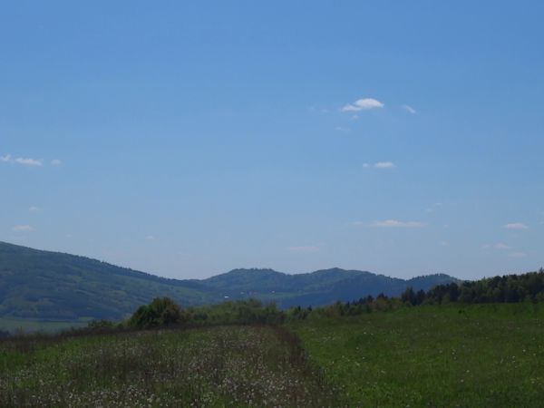 Autorzy publikacji przewodnickich informują / podkreślają, że ewenementem Lisznej /także Raczkowej i Dębnej/- są galerie, zapraszam/ jest to, że nie było tu osa