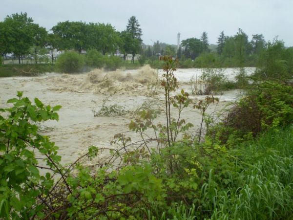 17.05.2010 rz. Kamienica