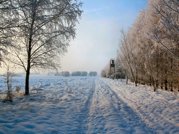 zdjecie Tyniewicze Duże