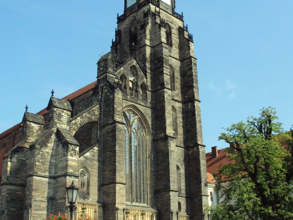 przed najwyższą na Śląsku wieżą kościelną - 103 m, kościół farny, gotycki. Nad wejściem : największe na Śląsku okno gotyckie.