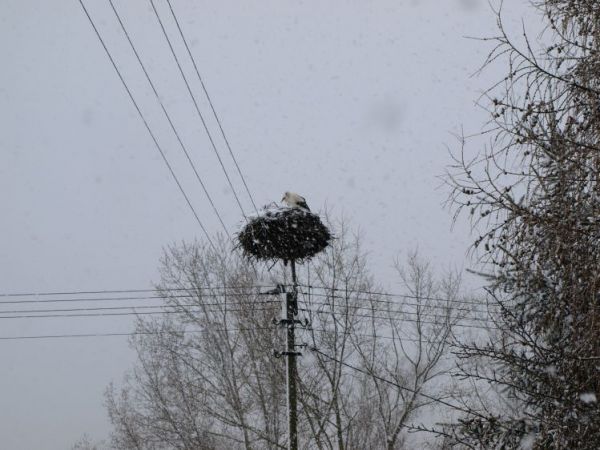 Tak trudno zaplanować kiedy przylecieć