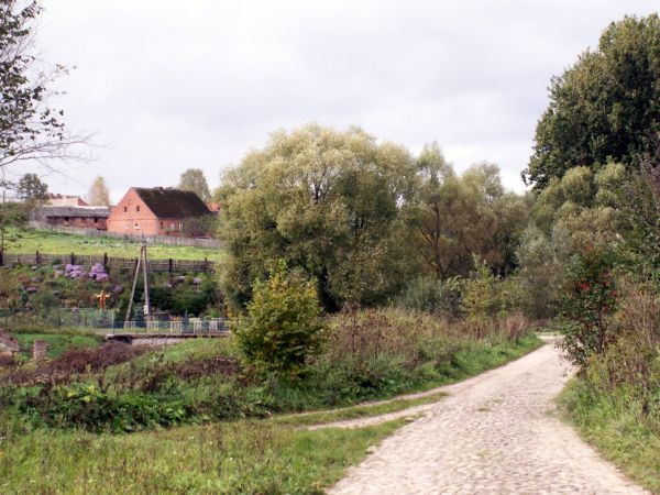Stara Korytnica- widok od strony okolicznego lasu
